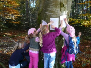 Exkursion am 24. Oktober 2013 in den Wald